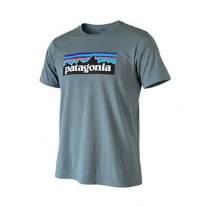 Boys 100% Organic Cotton Patagonia T- Shirt Dark Teal Size M Youth 10